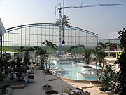 Einzug von 30 riesigen Königspalmen und anderen exotischen Pflanzen am 15.03.2007 (Foto: Therme Erding)